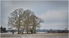 Winterlandschaft