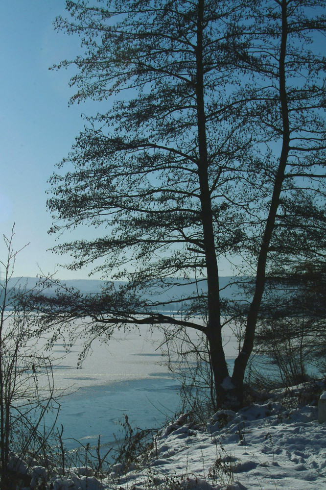 Winterlandschaft