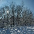 Winterlandschaft