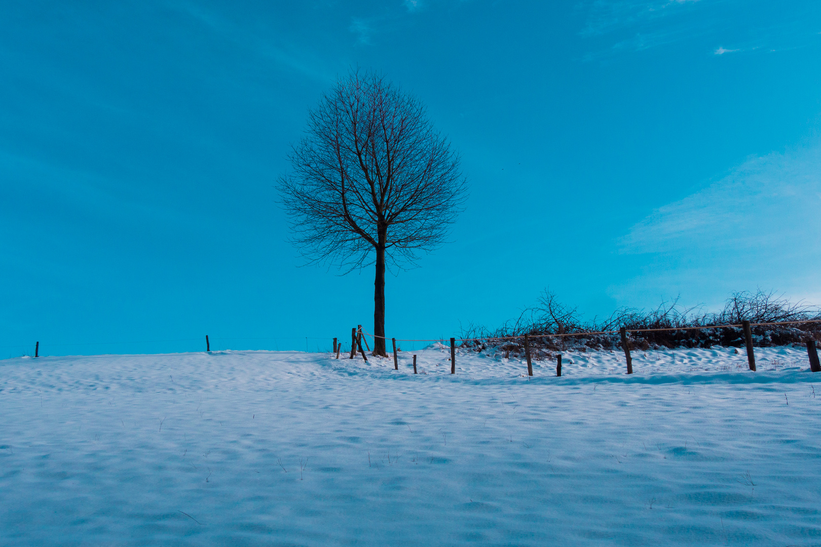 Winterlandschaft