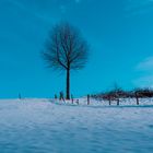 Winterlandschaft