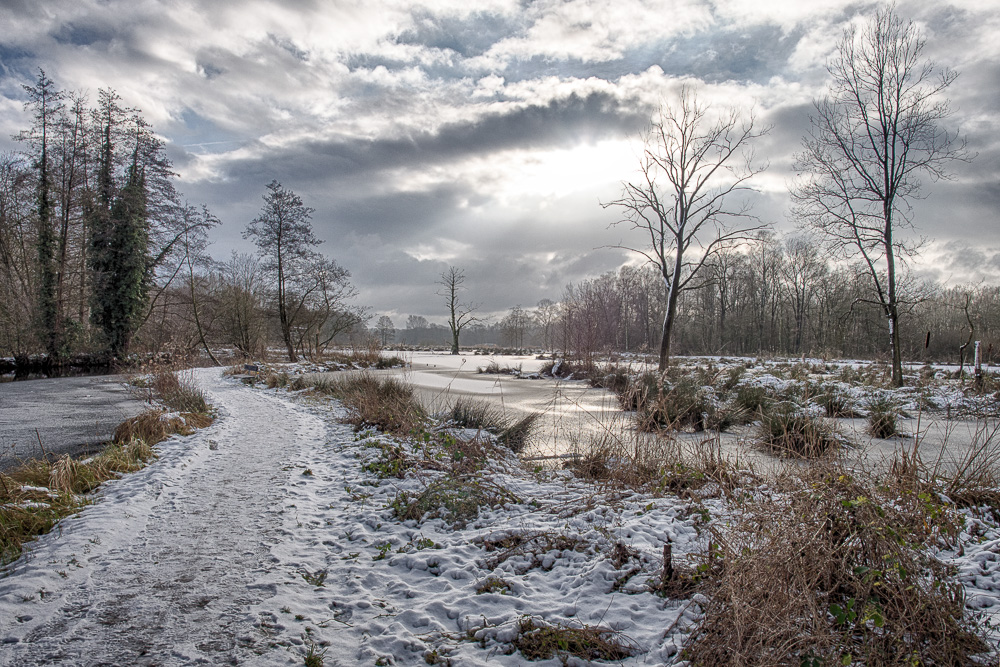 Winterlandschaft