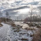 Winterlandschaft