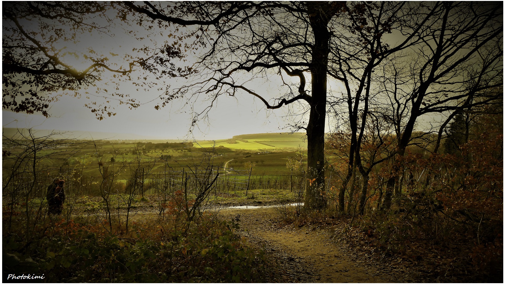 Winterlandschaft