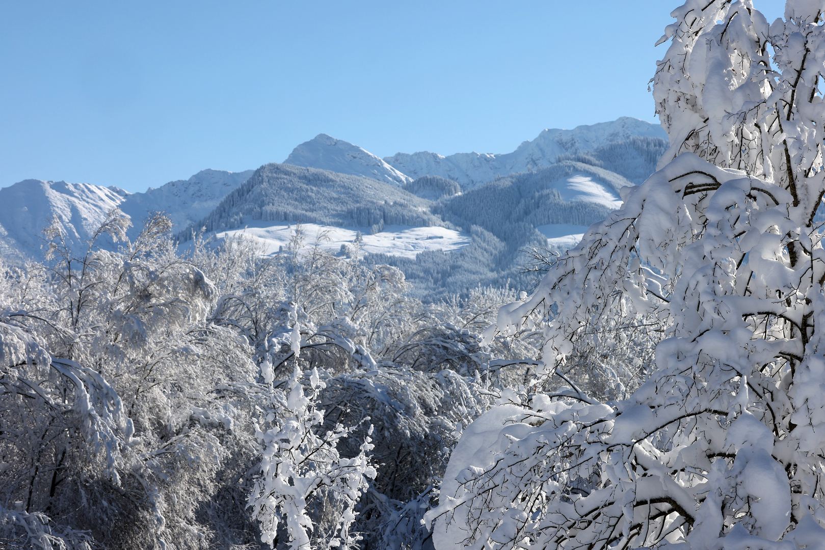 Winterlandschaft