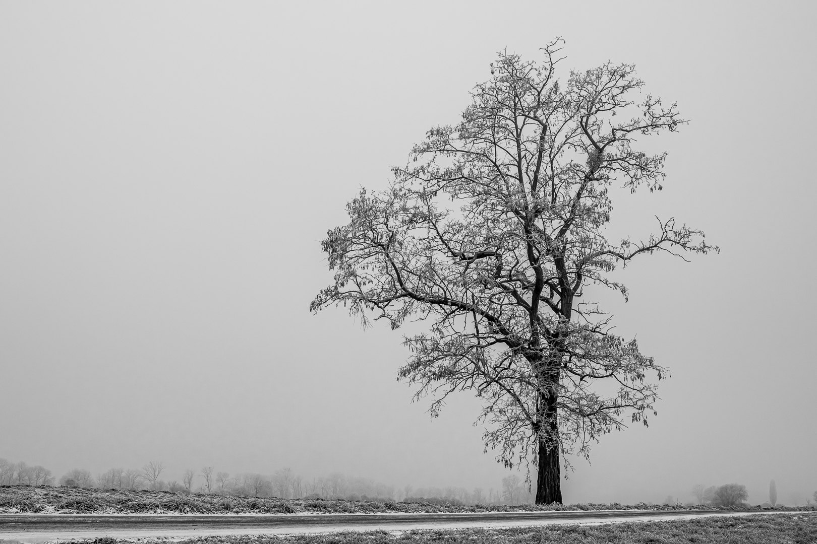 Winterlandschaft