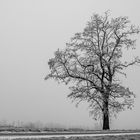 Winterlandschaft