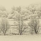 Winterlandschaft