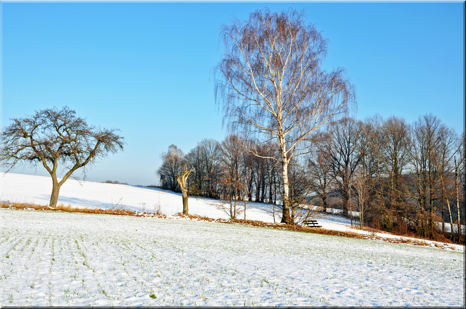 Winterlandschaft