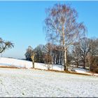 Winterlandschaft