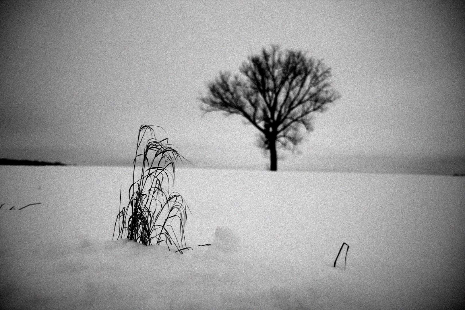 Winterlandschaft