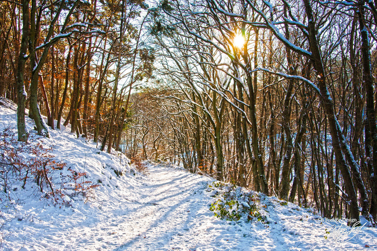 Winterlandschaft