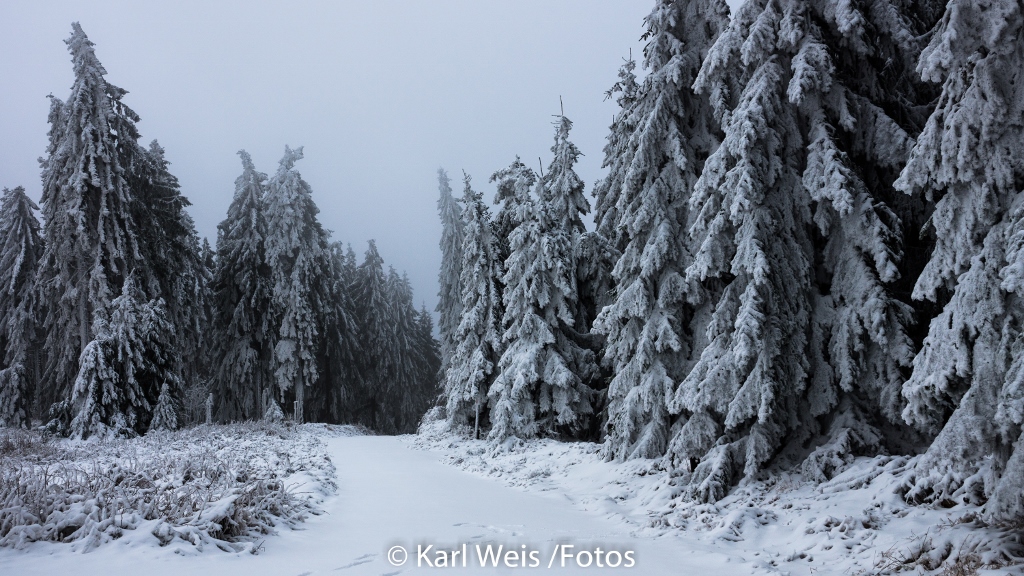 Winterlandschaft....