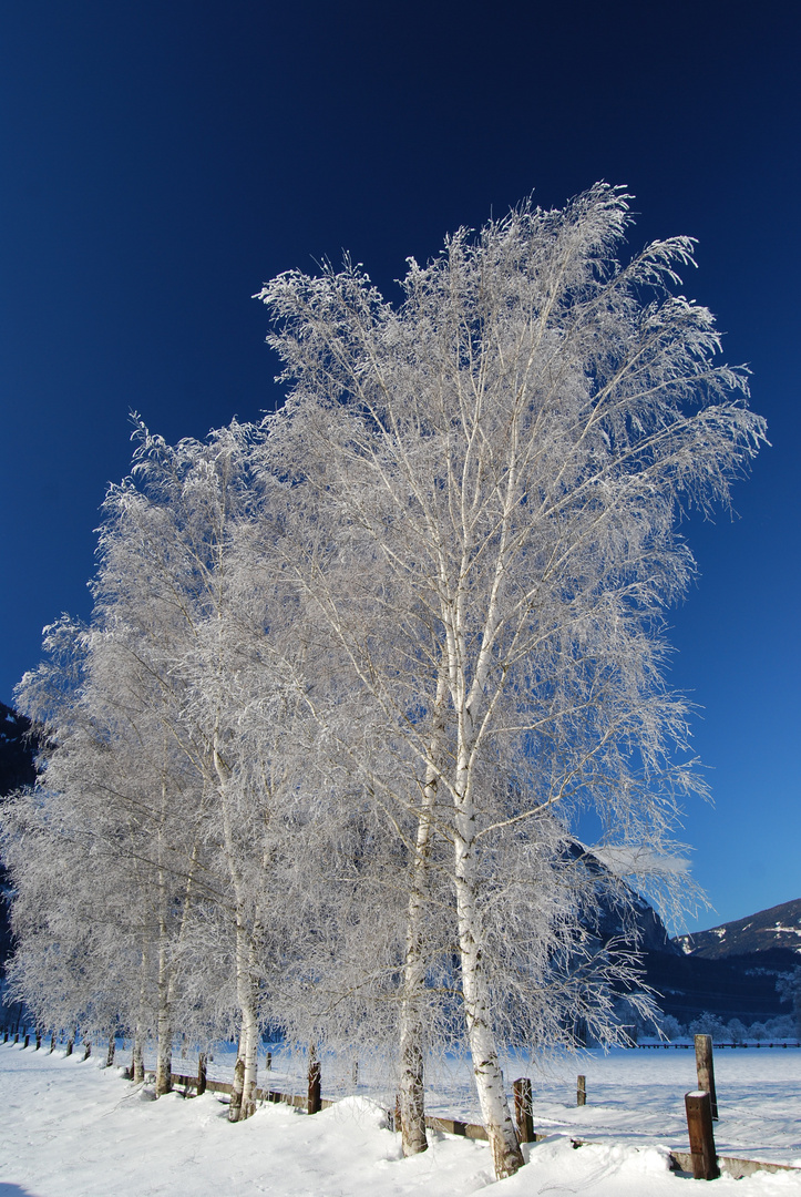 Winterlandschaft