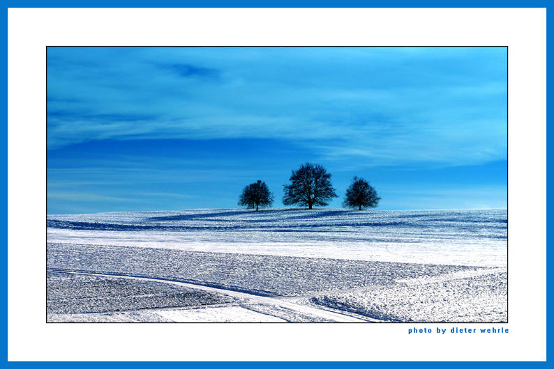 Winterlandschaft....