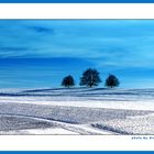 Winterlandschaft....