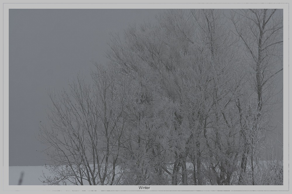 Winterlandschaft