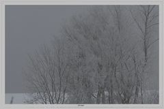 Winterlandschaft