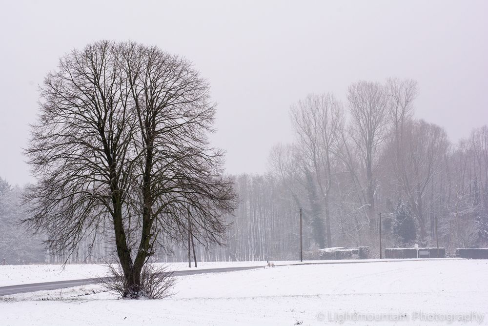 Winterlandschaft