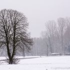 Winterlandschaft