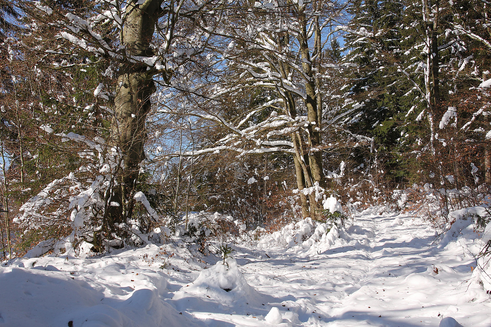 Winterlandschaft