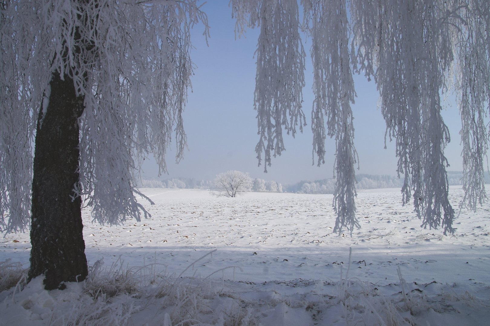 Winterlandschaft