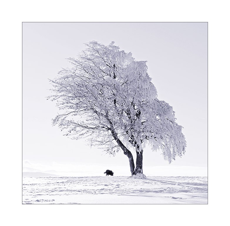 Winterlandschaft