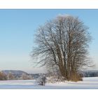 Winterlandschaft