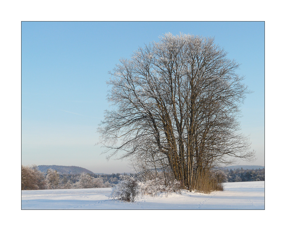 Winterlandschaft