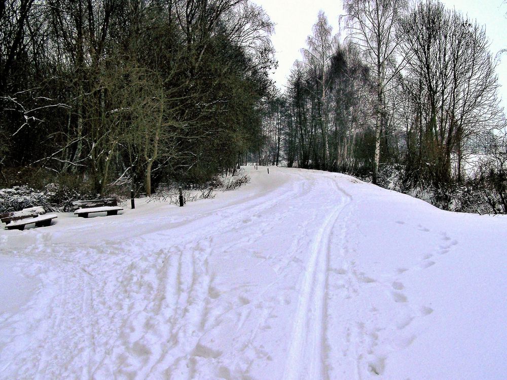 Winterlandschaft 