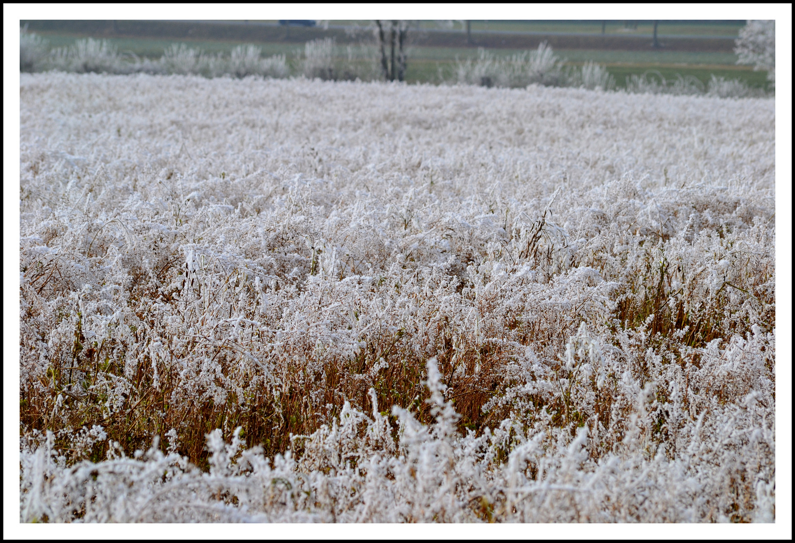 Winterlandschaft