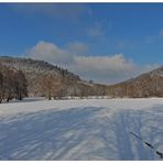 Winterlandschaft