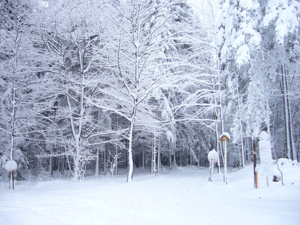 Winterlandschaft