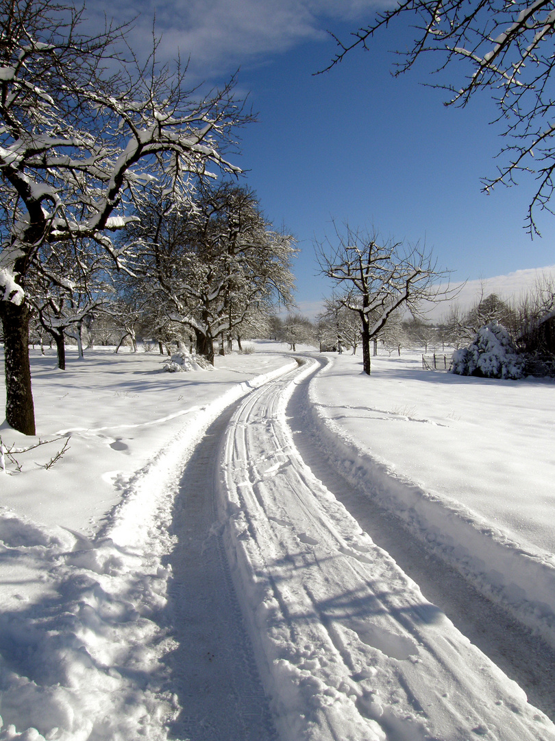 Winterlandschaft