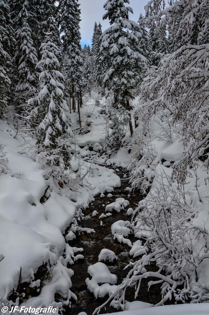 Winterlandschaft