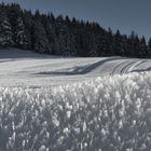 Winterlandschaft