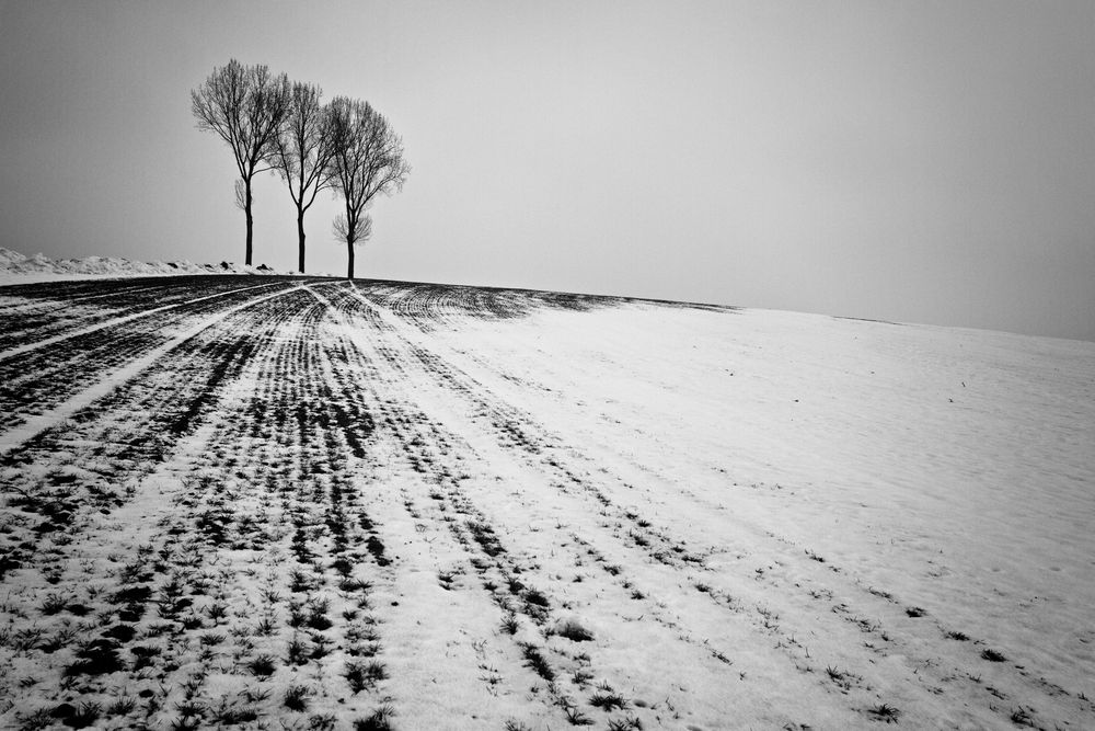 Winterlandschaft