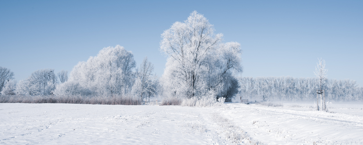 Winterlandschaft