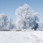 Winterlandschaft