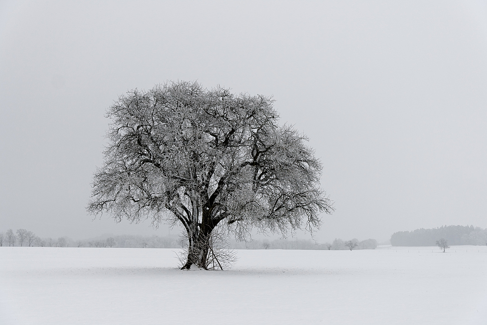 Winterlandschaft