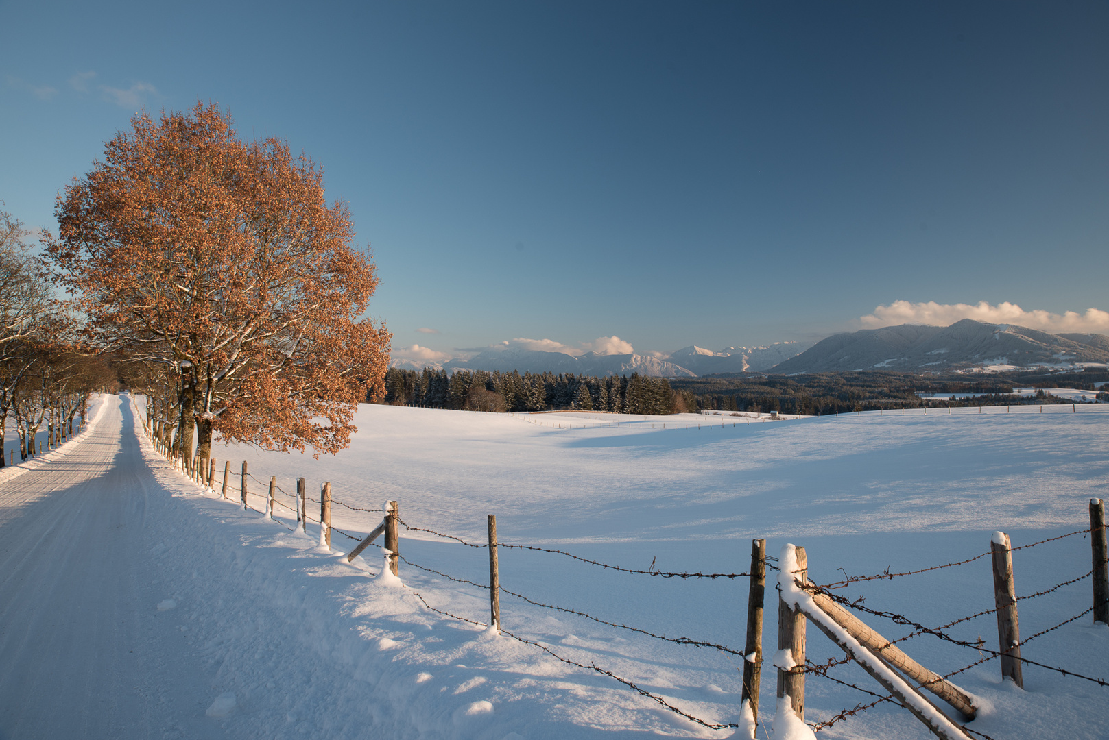 Winterlandschaft