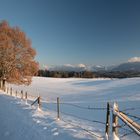 Winterlandschaft