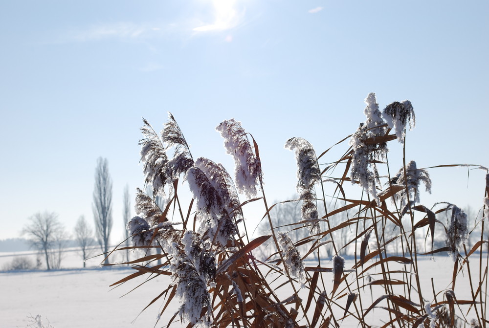 Winterlandschaft