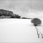 Winterlandschaft