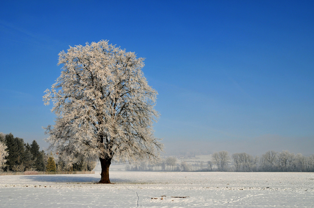 Winterlandschaft