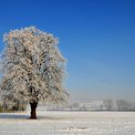 Winterlandschaft