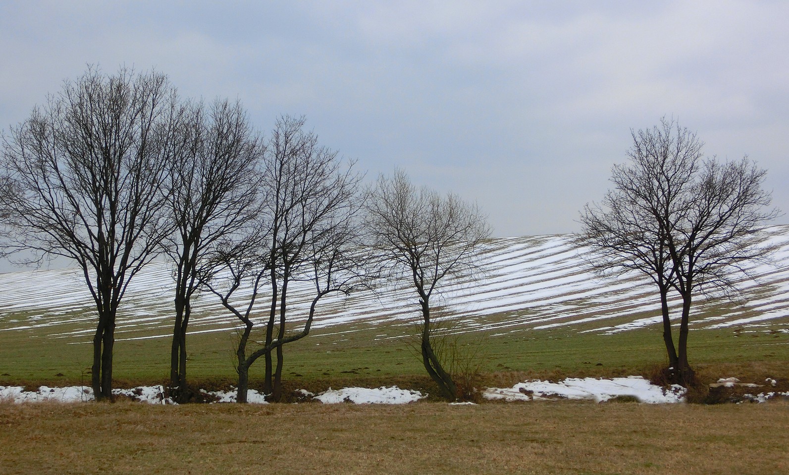 Winterlandschaft