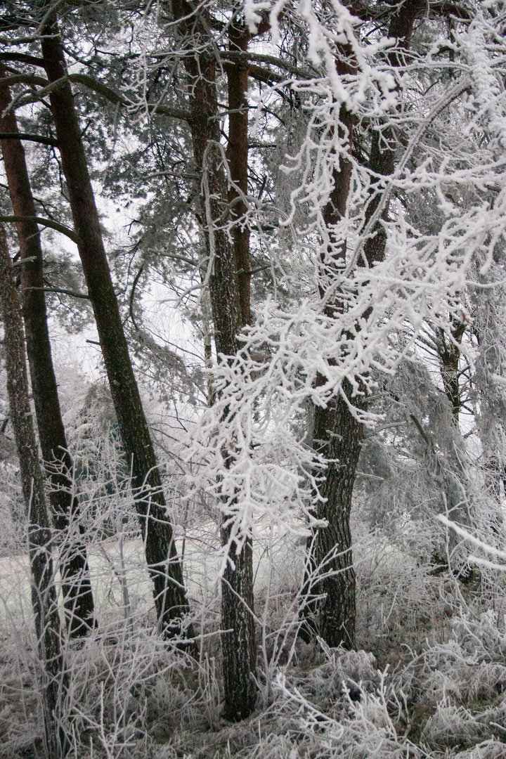 Winterlandschaft