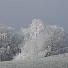 Winterlandschaft