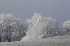 Winterlandschaft